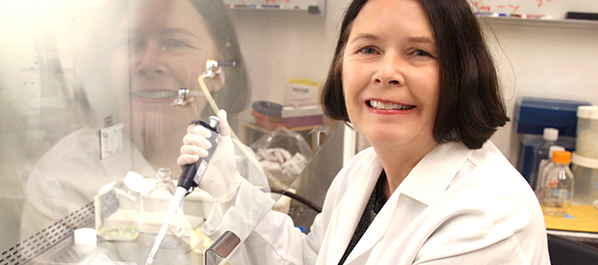 Brenda Hogue Professor, Biodesign Center for Immunotherapy, Vaccines and Virotherapy Associate Faculty, Biodesign Center for Applied Structural Discovery (Image Courtesy of ASU Biodesign Institute)